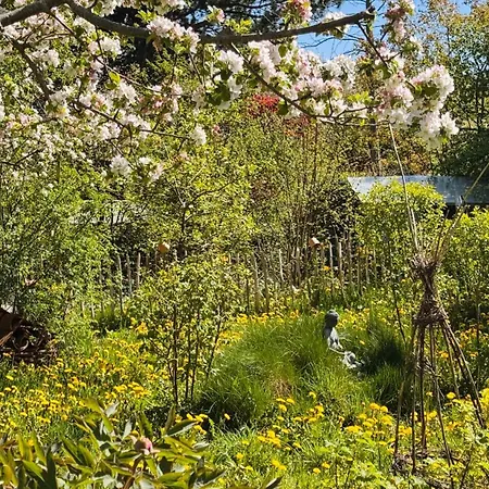 Δωμάτια σε οικογενειακή κατοικία Artist's House Room, Free Parking, Garden