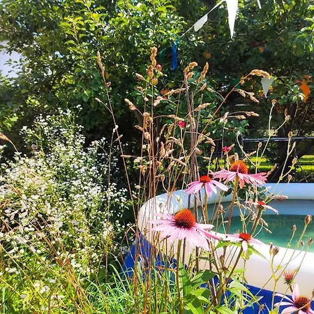 Modernes Am Park Mit Garten, Hühner&enten Múnich